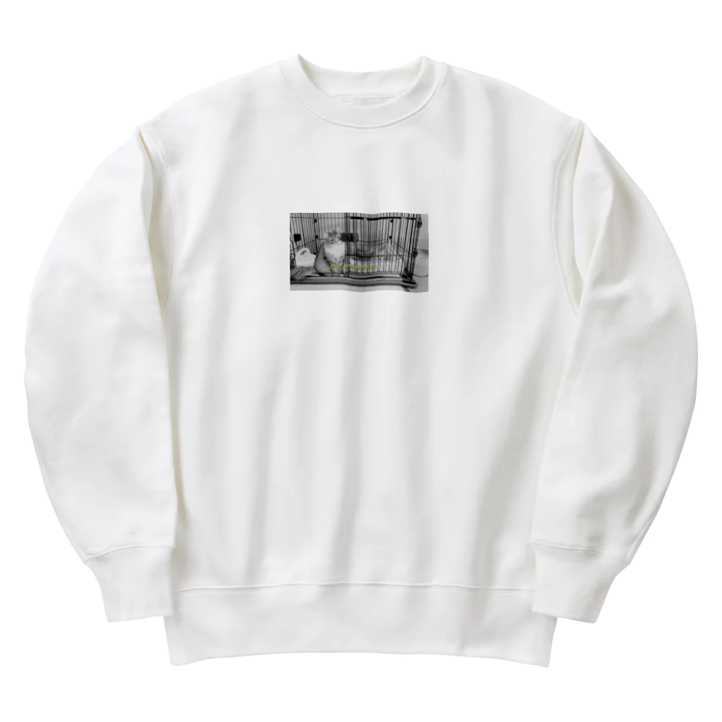 妖怪 水姫城-Yokai.Mizukijyo-ฅ^ơωơ^ฅ♡の#ネコヒメペット 91ฅ^ơωơ^ฅ♡ Heavyweight Crew Neck Sweatshirt