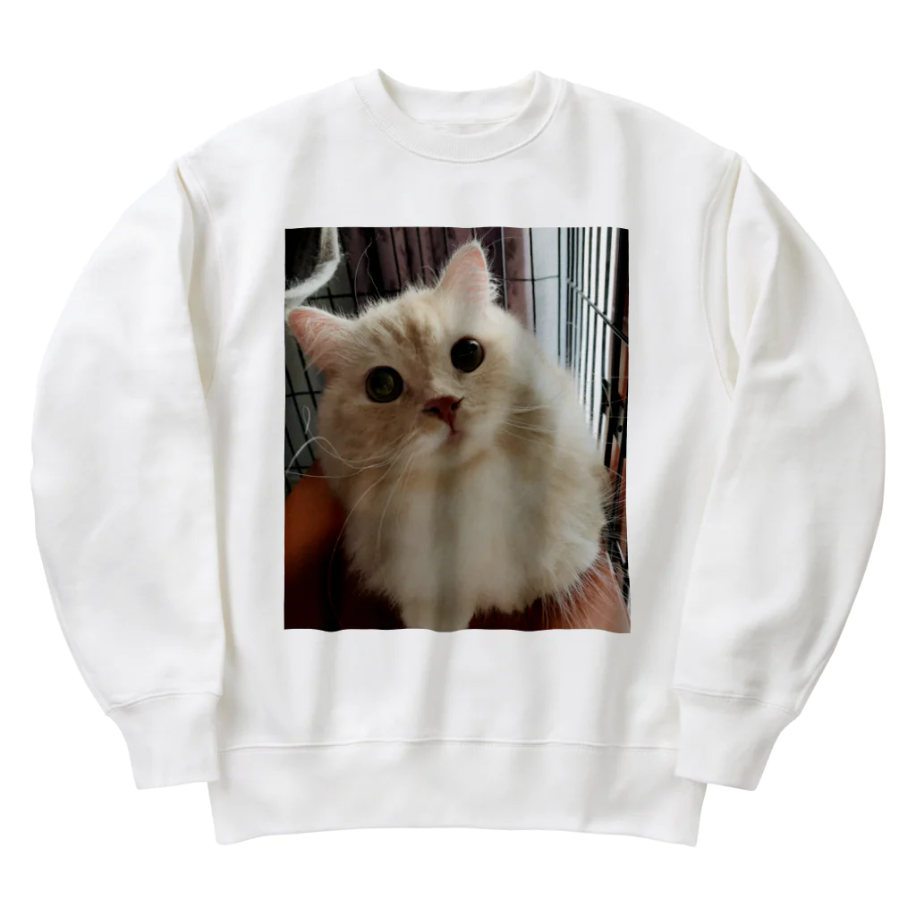 食いしんボーイ　シエルくんのトリミング帰りのシエルくん Heavyweight Crew Neck Sweatshirt