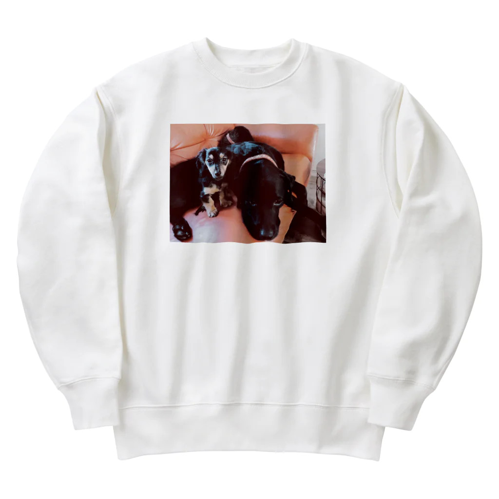 ツッチーニのペット Heavyweight Crew Neck Sweatshirt