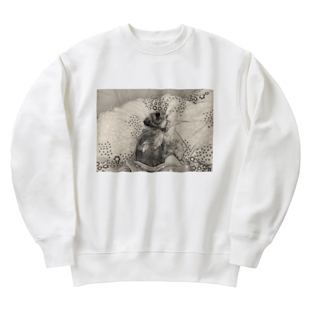 hippoのミニシュナかごめは布団も好き Heavyweight Crew Neck Sweatshirt