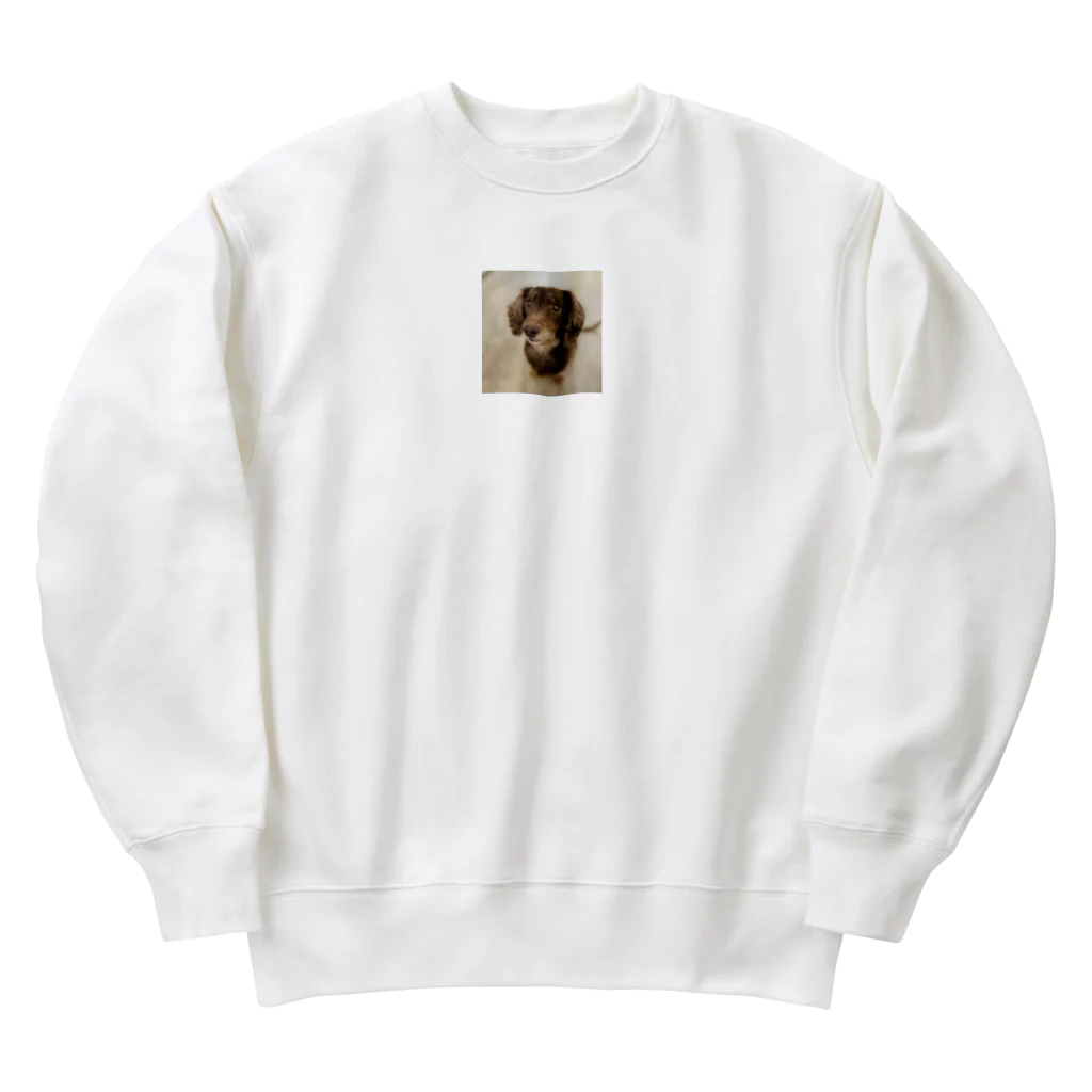 マリアの愛犬マリア Heavyweight Crew Neck Sweatshirt