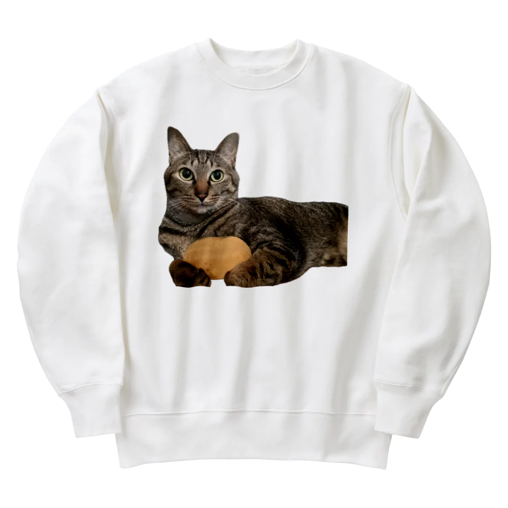 オレはニャン蔵の『猫に小判』オレはニャン蔵 Heavyweight Crew Neck Sweatshirt