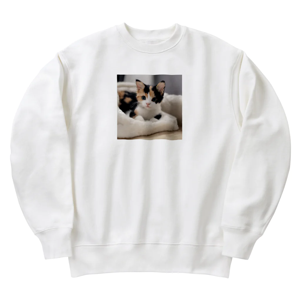 癒しリフレッシュの愛らしい子猫ちゃん Heavyweight Crew Neck Sweatshirt