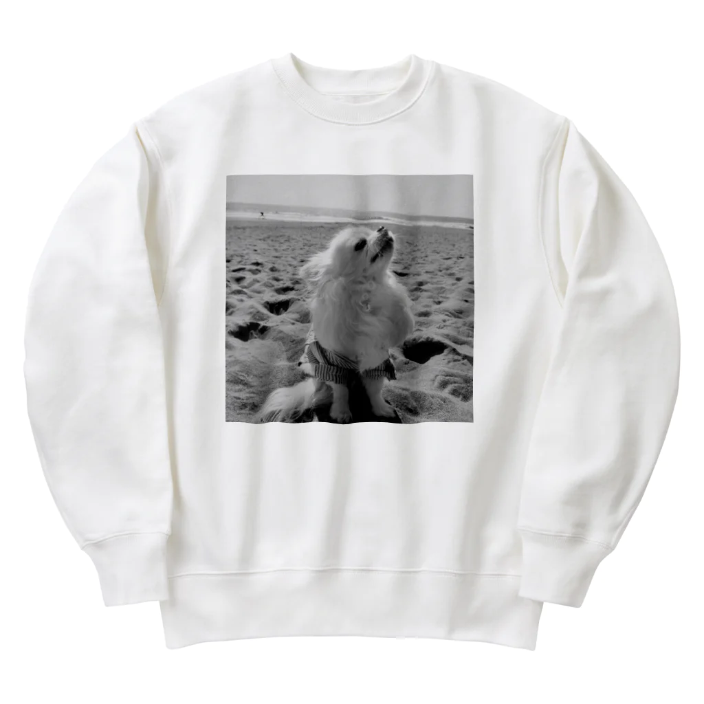 T_O-N_OのTONO-Coast Heavyweight Crew Neck Sweatshirt