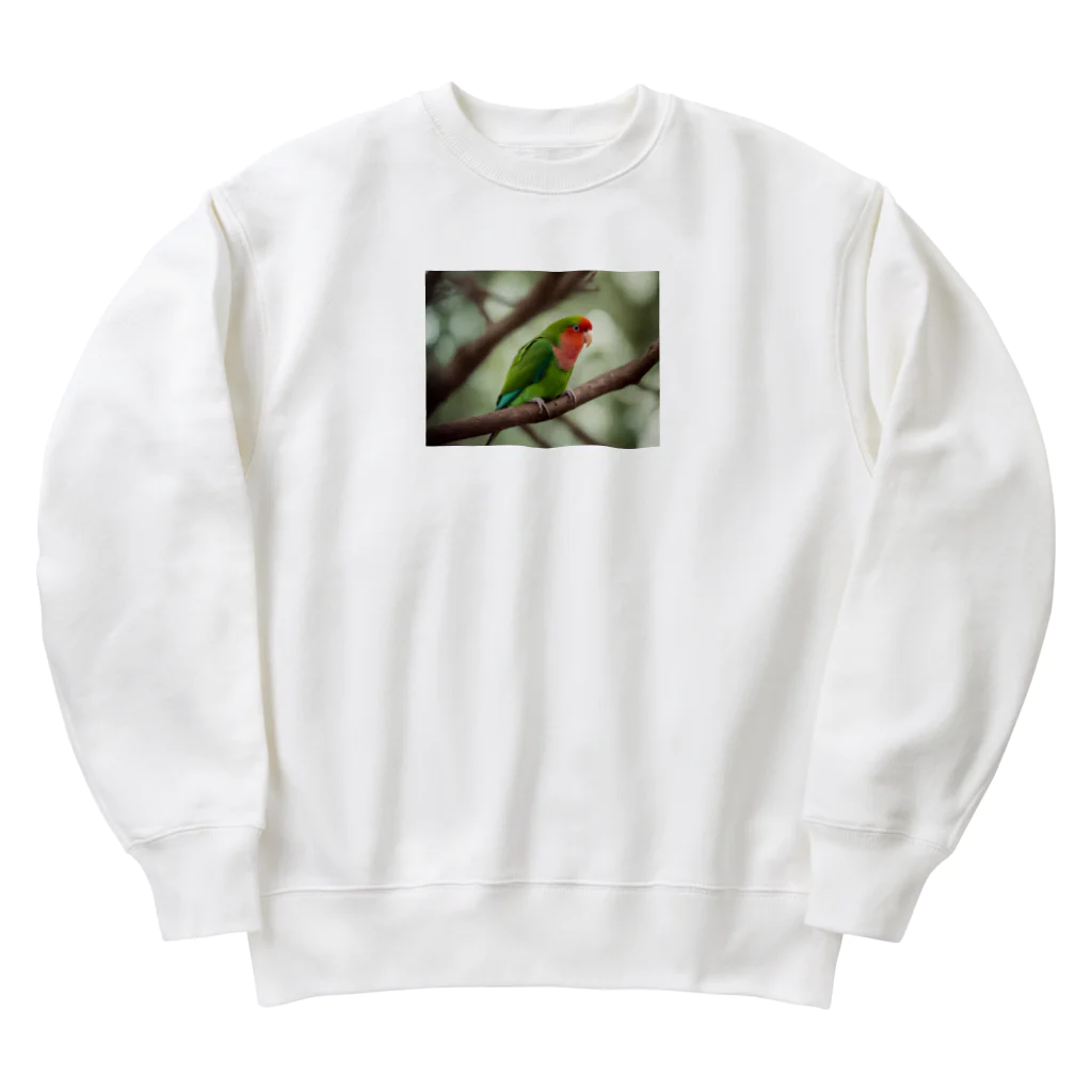 Kokoro-nagomu-Nagomiの鳥5　コザクラインコ Heavyweight Crew Neck Sweatshirt