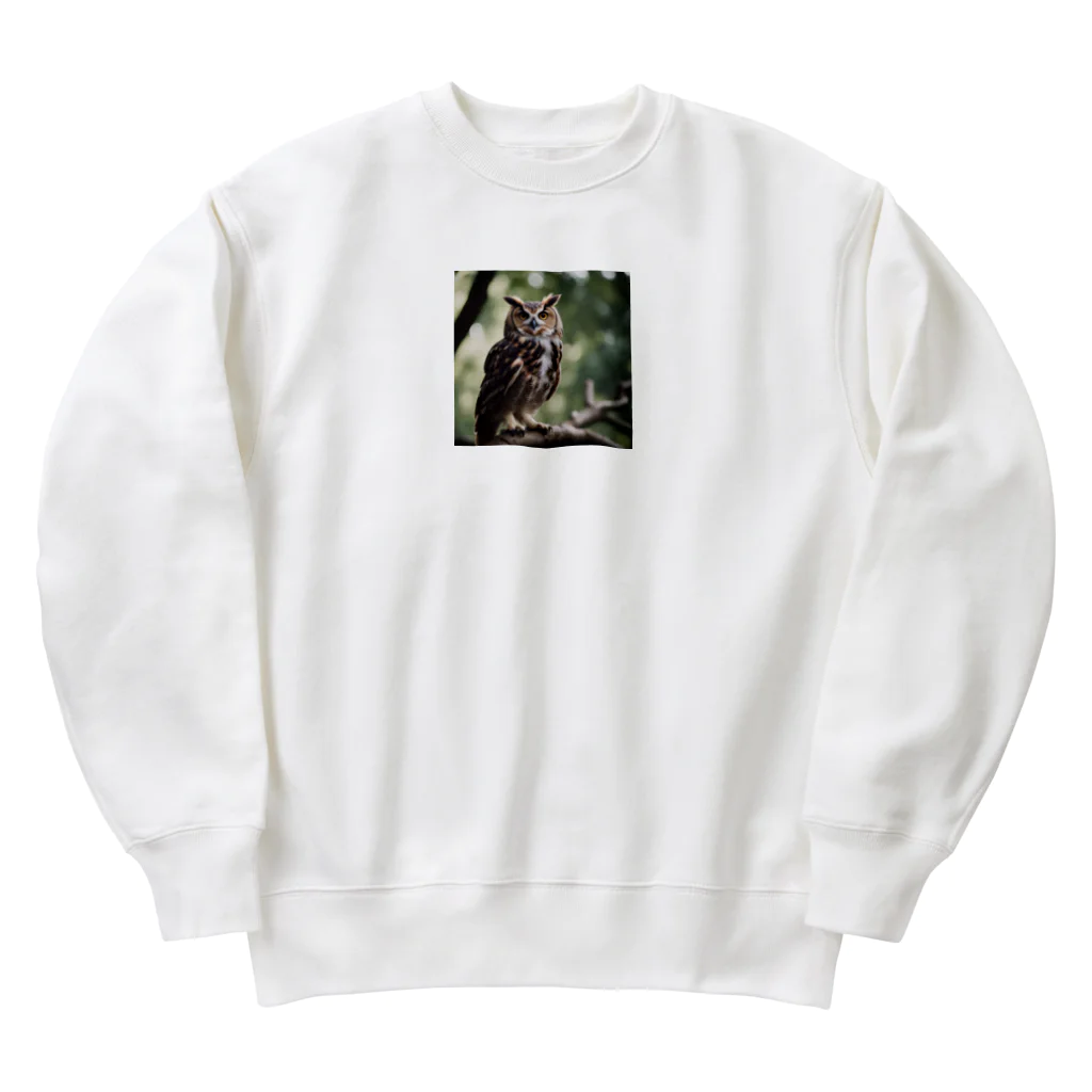 keistyleの森の番人　フクロウ Heavyweight Crew Neck Sweatshirt