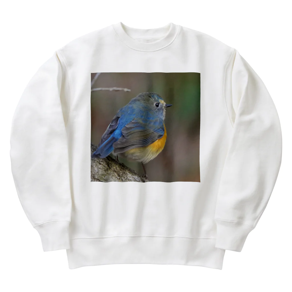 ふわふわフライトのルリオくん Heavyweight Crew Neck Sweatshirt