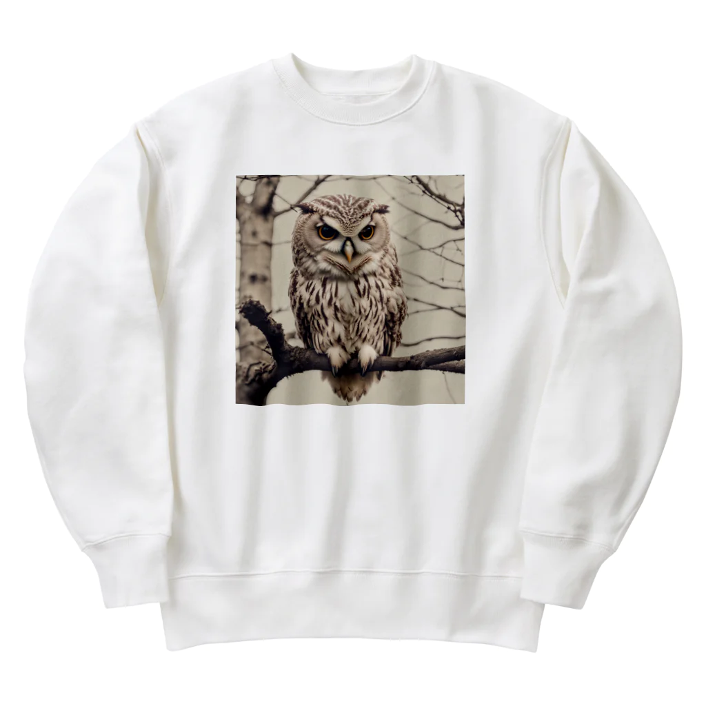 roogerのふくろうくん Heavyweight Crew Neck Sweatshirt