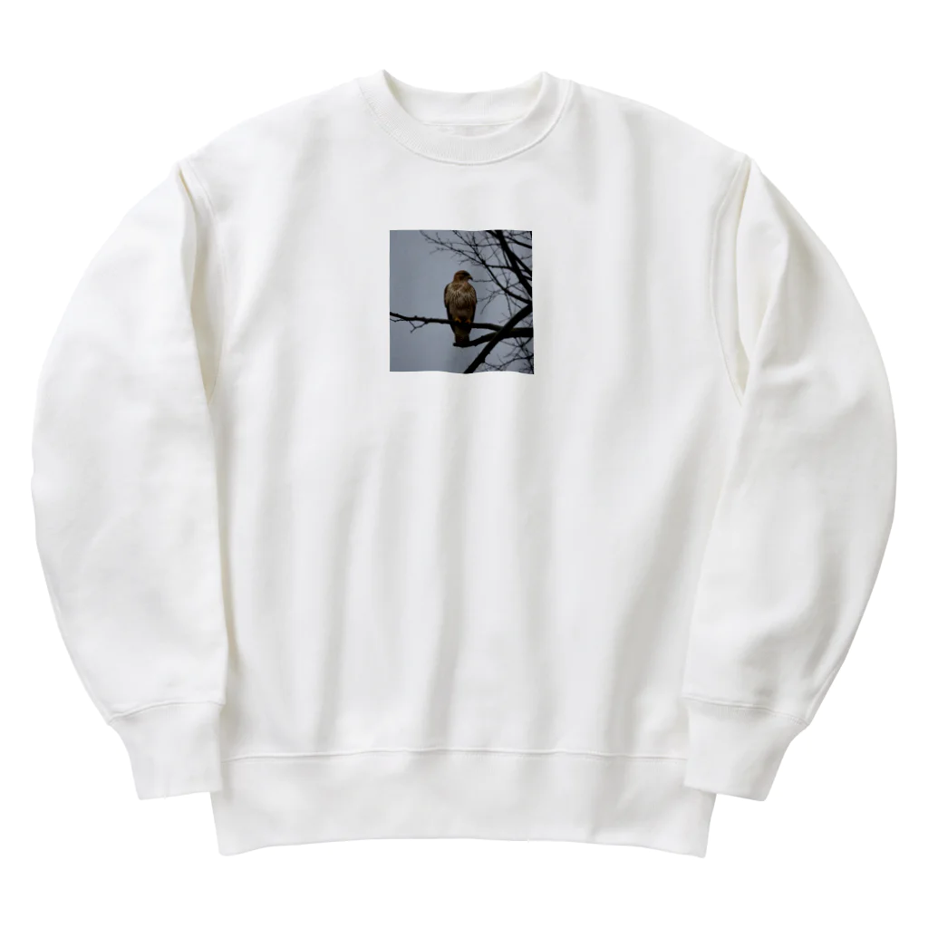 ganeshaの天候の変化に備えるタカ Heavyweight Crew Neck Sweatshirt