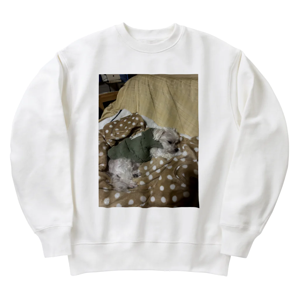 S2.カンパニーのアポロくんです！ Heavyweight Crew Neck Sweatshirt