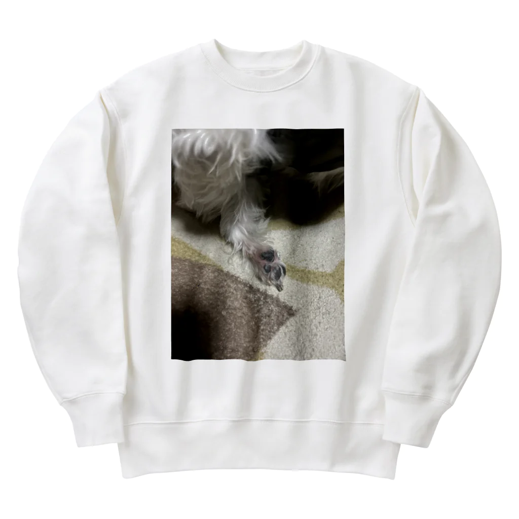 S2.カンパニーのアポロくんです！ Heavyweight Crew Neck Sweatshirt