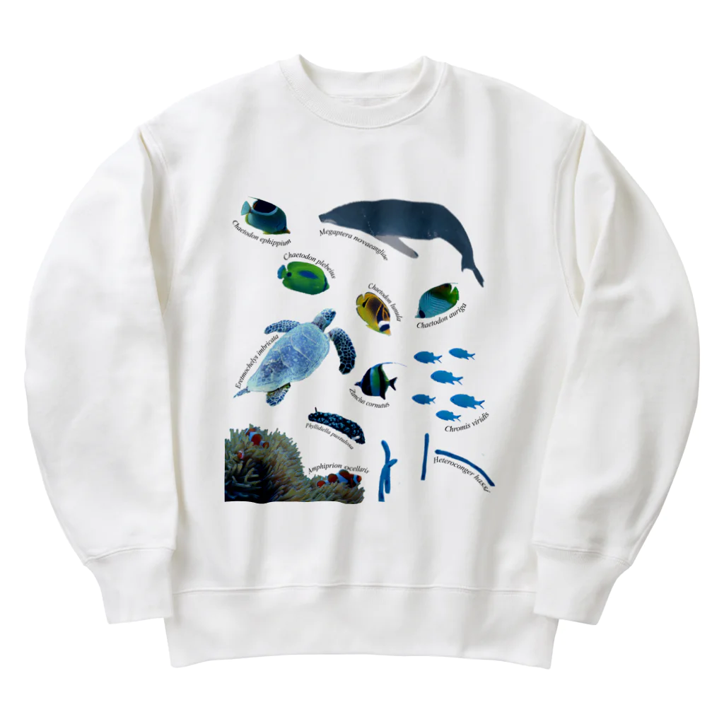 L_arctoaの沖縄の海の生き物 Heavyweight Crew Neck Sweatshirt