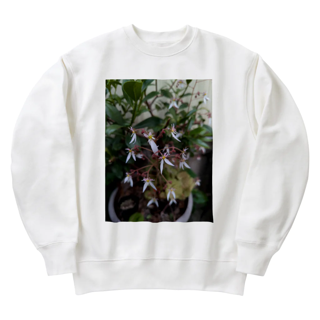 ミクロのユキノシタのお花が可愛らしい〜 Heavyweight Crew Neck Sweatshirt