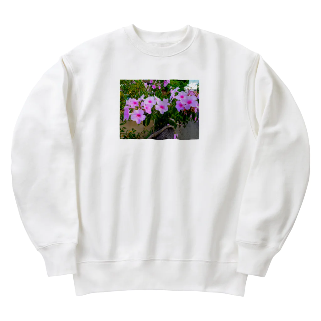 終わらない夢🌈の実写シリーズ【初夏の美しい花🌸】 Heavyweight Crew Neck Sweatshirt