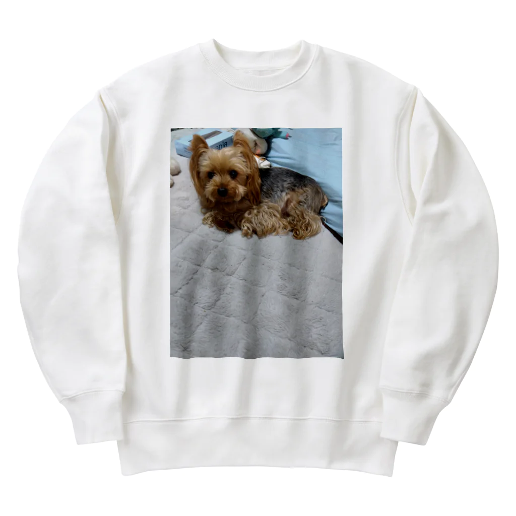 ベイビーちゃんのアレンくん Heavyweight Crew Neck Sweatshirt