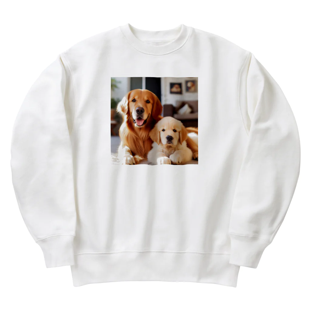 KAWAKamiのワンだふるゴールデン・セレクション Heavyweight Crew Neck Sweatshirt