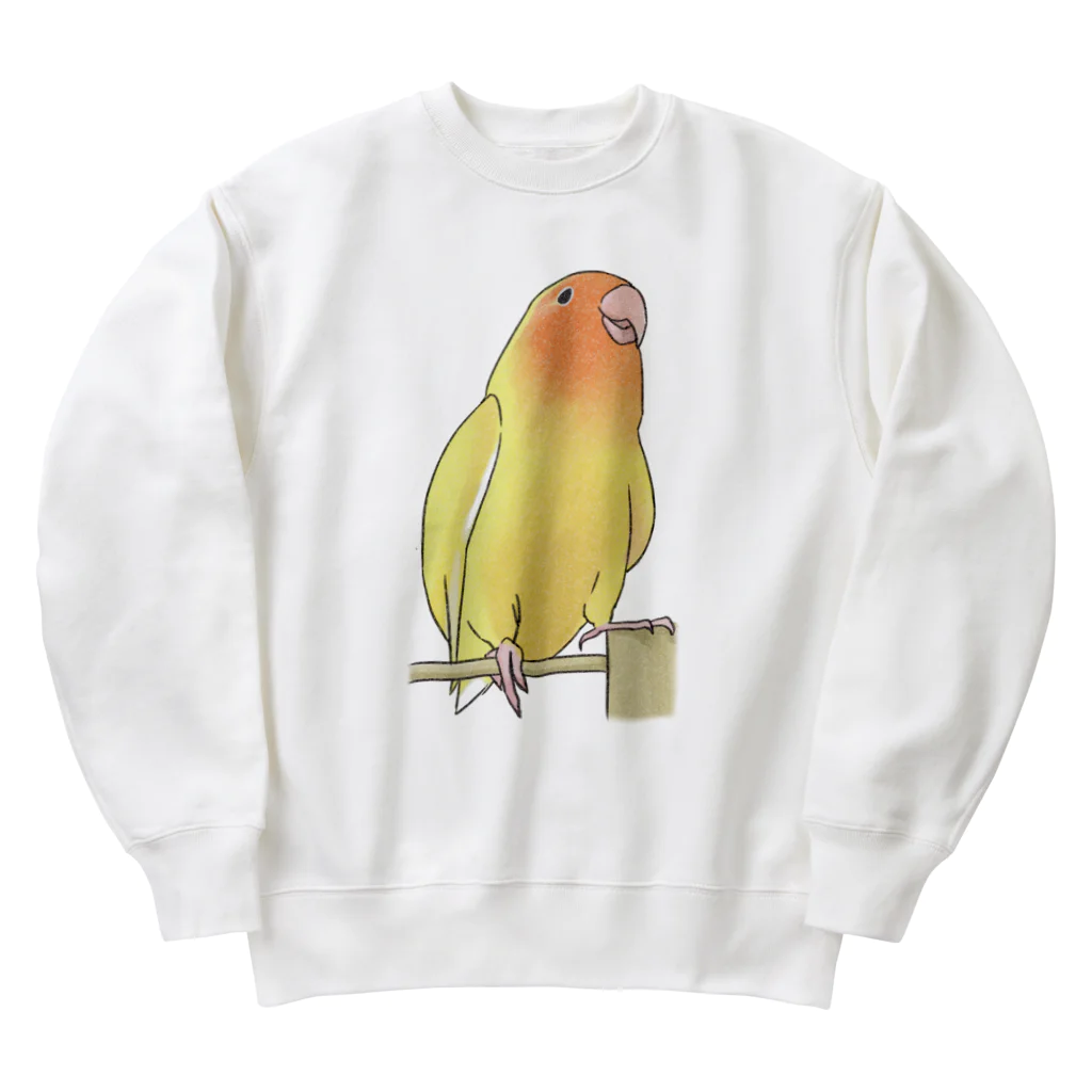 まめるりはことりの得意げ可愛い　コザクラインコちゃん【まめるりはことり】 Heavyweight Crew Neck Sweatshirt