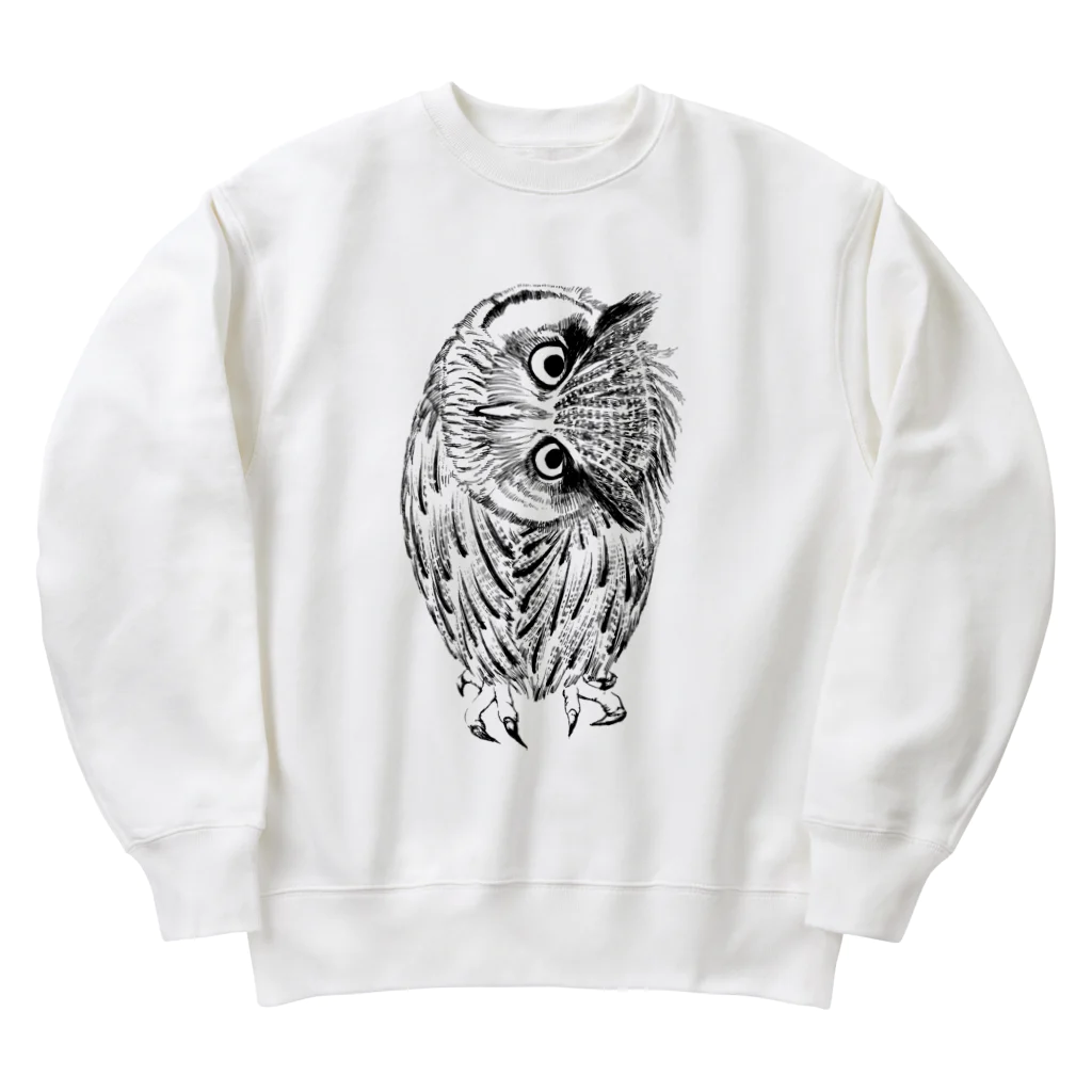 segasworksの首を傾げてるアフリカオオコノハズク Heavyweight Crew Neck Sweatshirt