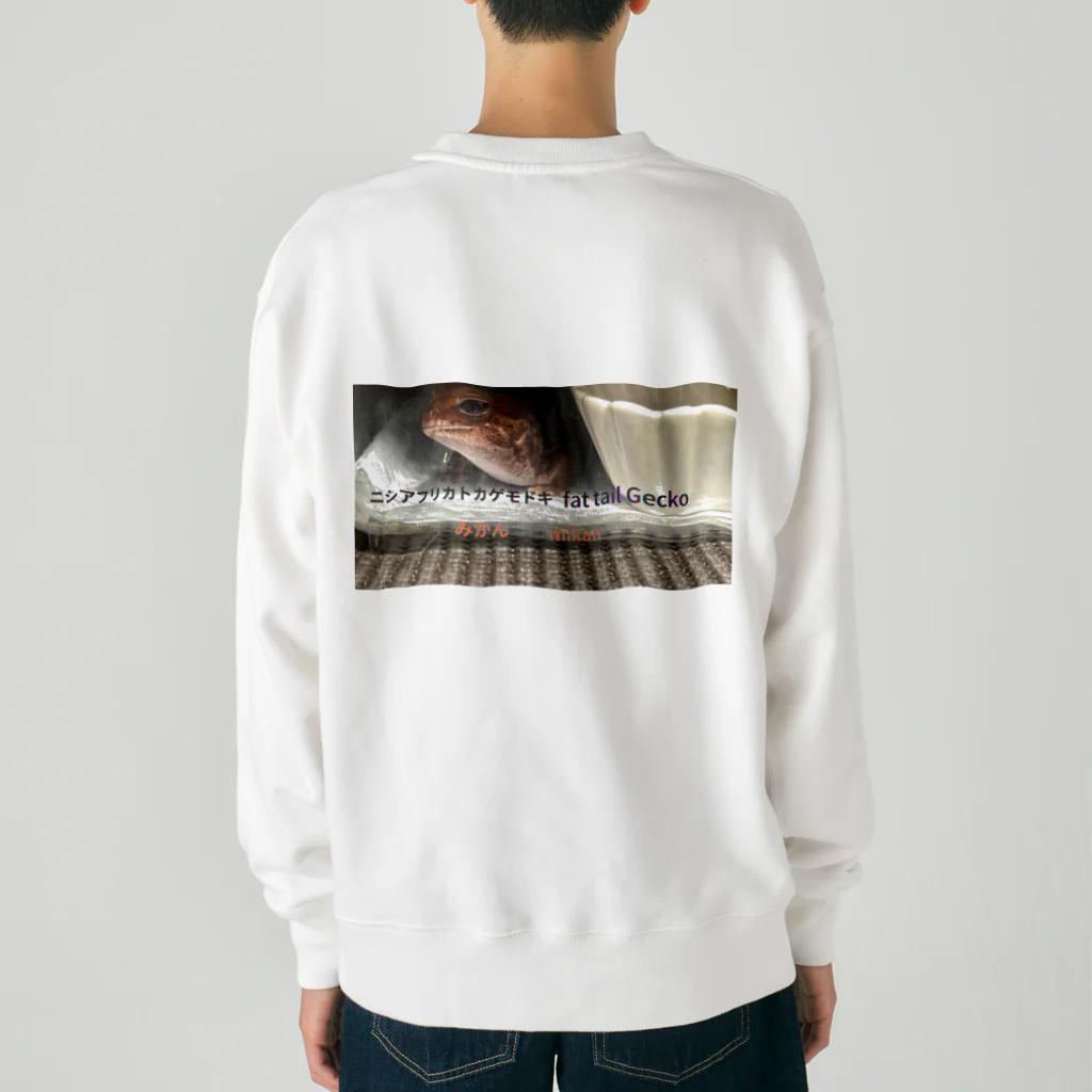 カメオタクの飼育箱のヒョウモントカゲモドキ＆ニシアフリカトカゲモドキ Heavyweight Crew Neck Sweatshirt