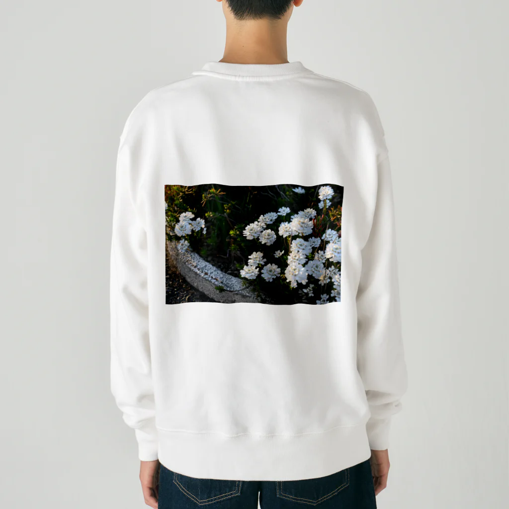 坊ちゃんのイベリス Heavyweight Crew Neck Sweatshirt