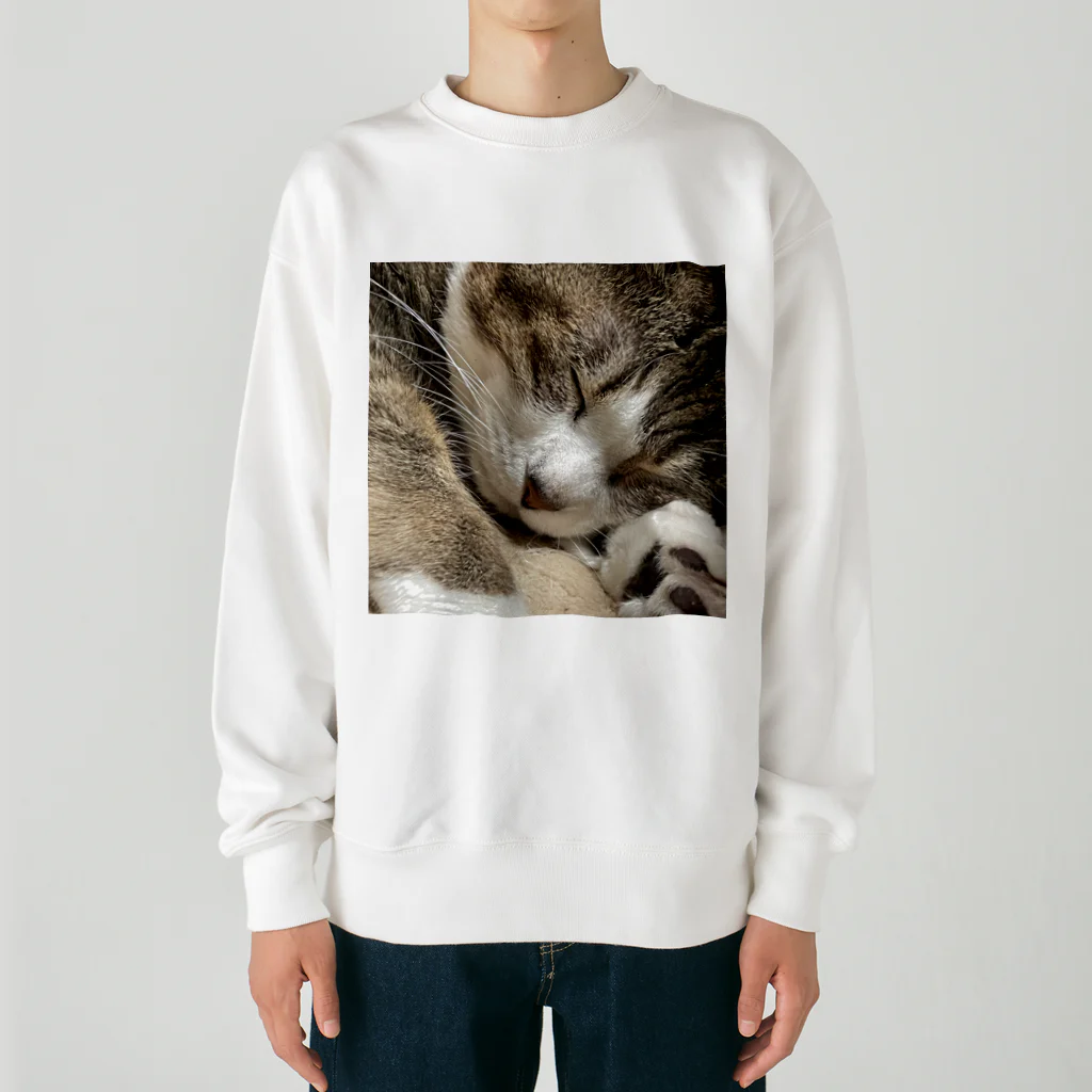 あゆのしおやきの猫(キジシロ) Heavyweight Crew Neck Sweatshirt