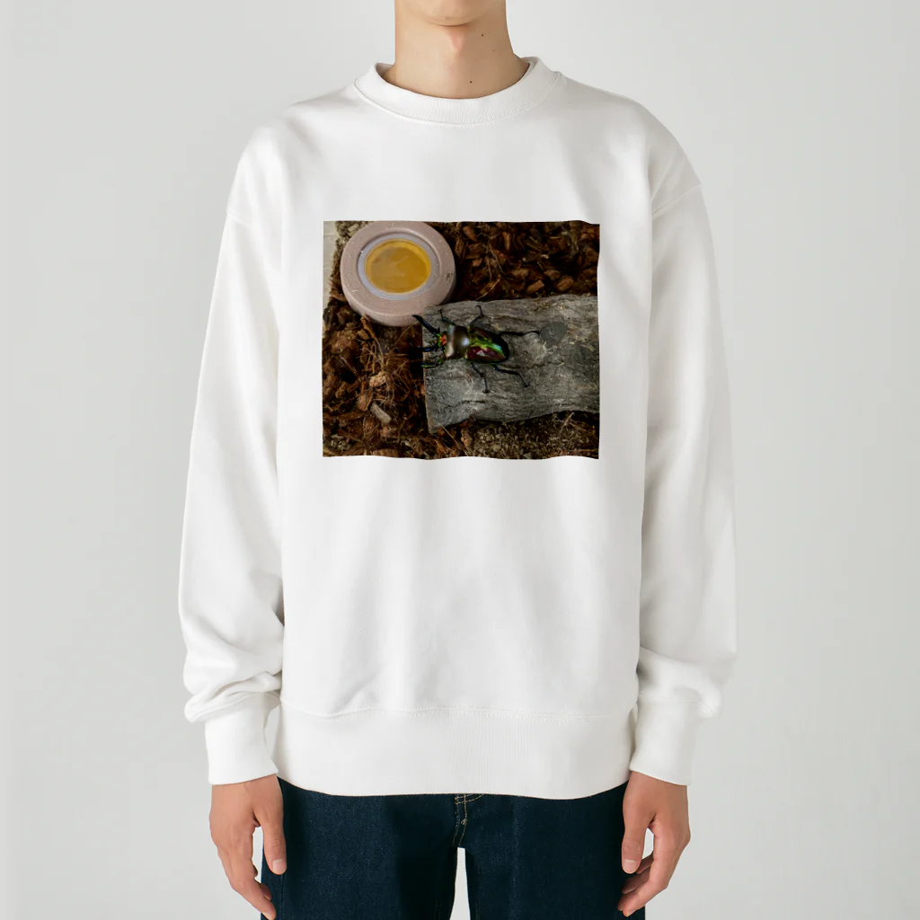 kakikukekodomoのニジイロクワガタくん Heavyweight Crew Neck Sweatshirt