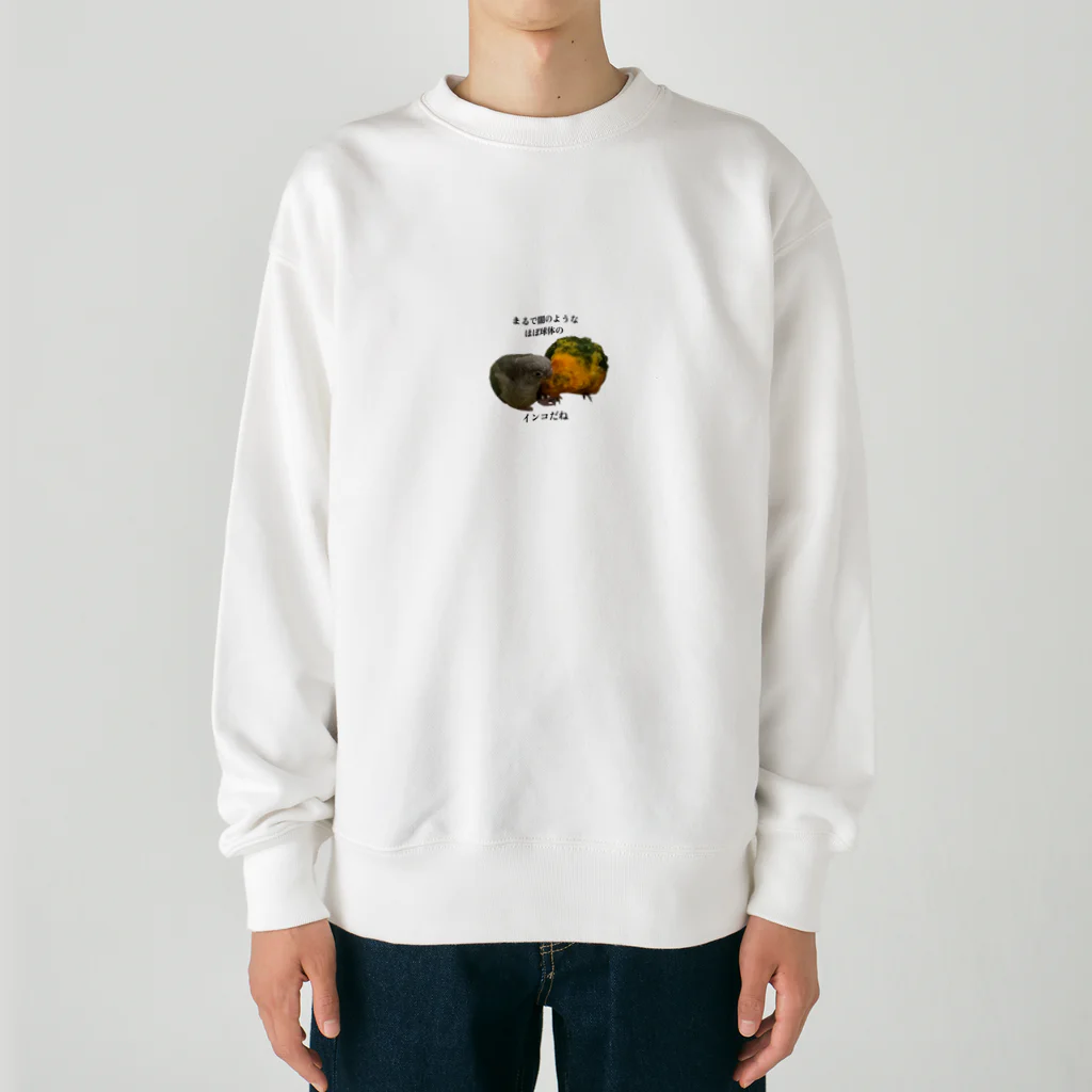 聖母ちゃんのまるで闇のようなほぼ球体のインコだね Heavyweight Crew Neck Sweatshirt