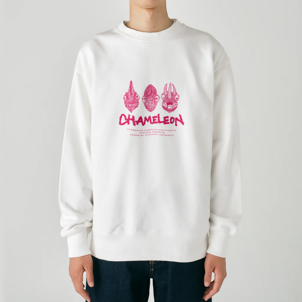 LEOLEOのthe chameleon Heavyweight Crew Neck Sweatshirt