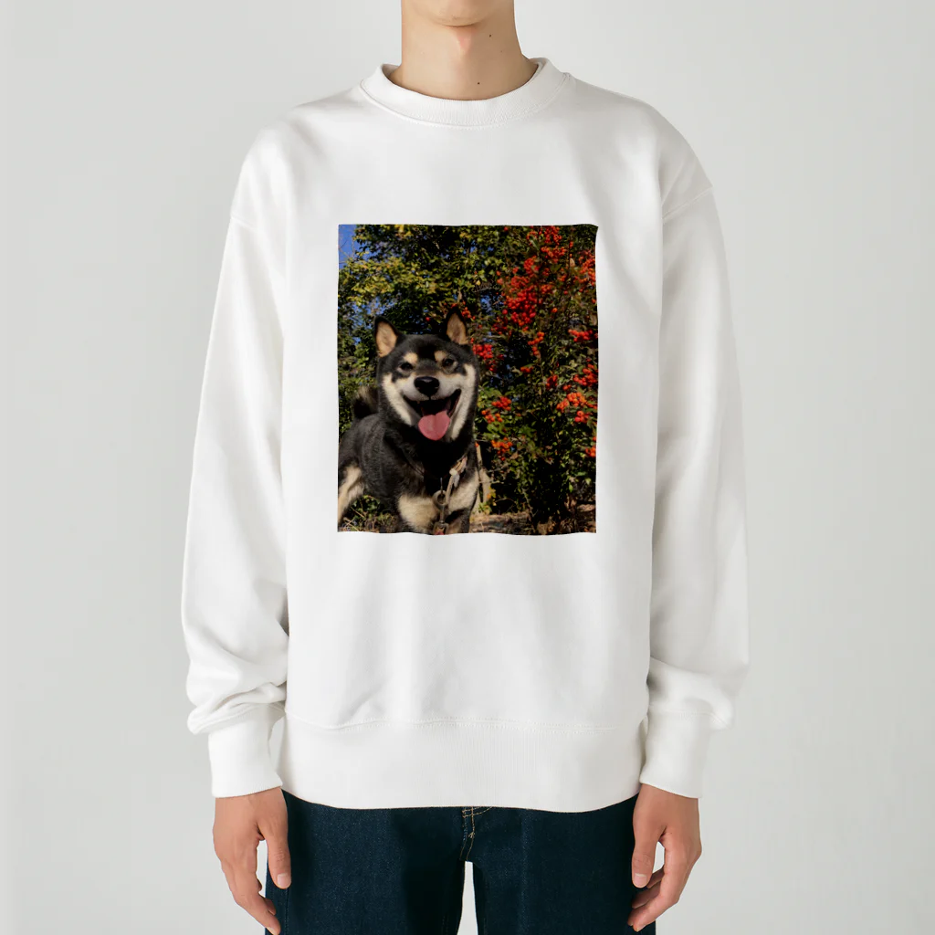 柴犬けんたろー。の柴犬のけんたろー Heavyweight Crew Neck Sweatshirt