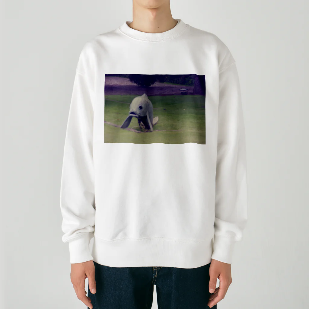 Robin_Hiroshimaのリスボンの公園に居た鯉 Heavyweight Crew Neck Sweatshirt