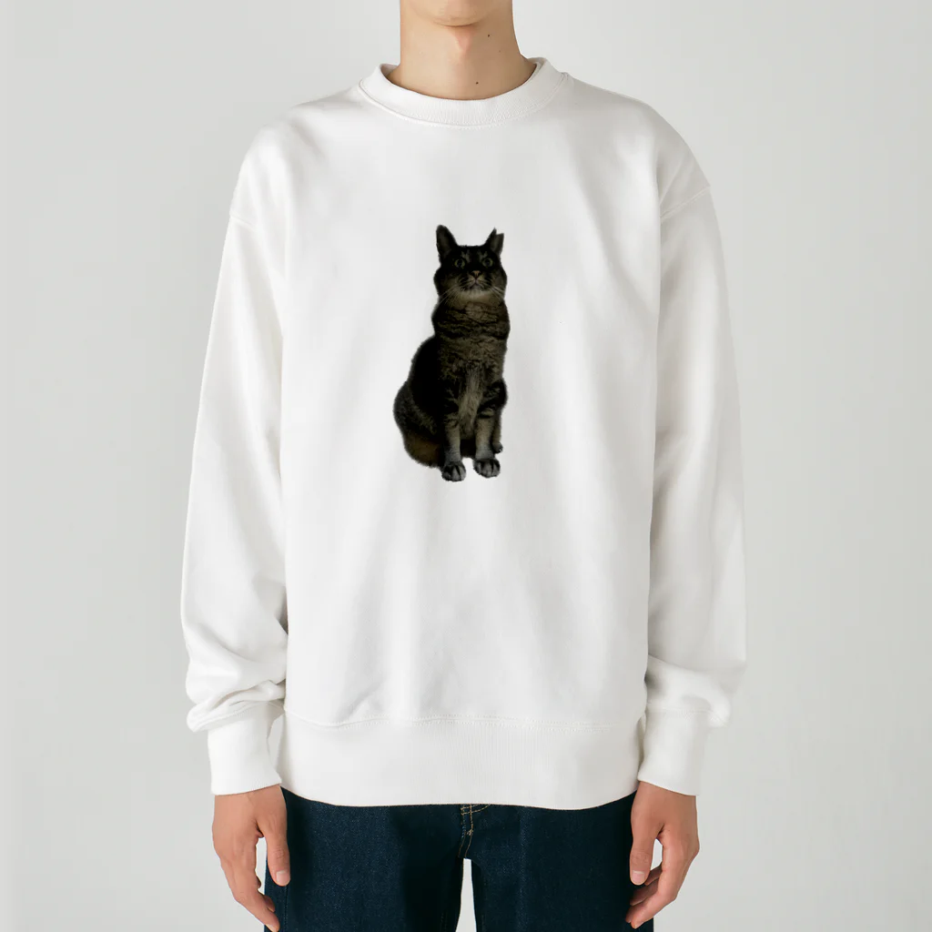 趣味の店 あねもやしのびっくり猫シリーズ Heavyweight Crew Neck Sweatshirt