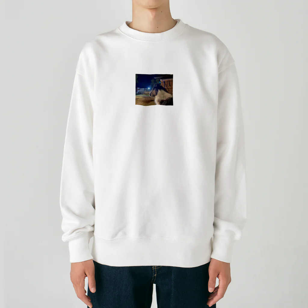 _masa_masa_のスタッフォードシャーテリア Heavyweight Crew Neck Sweatshirt