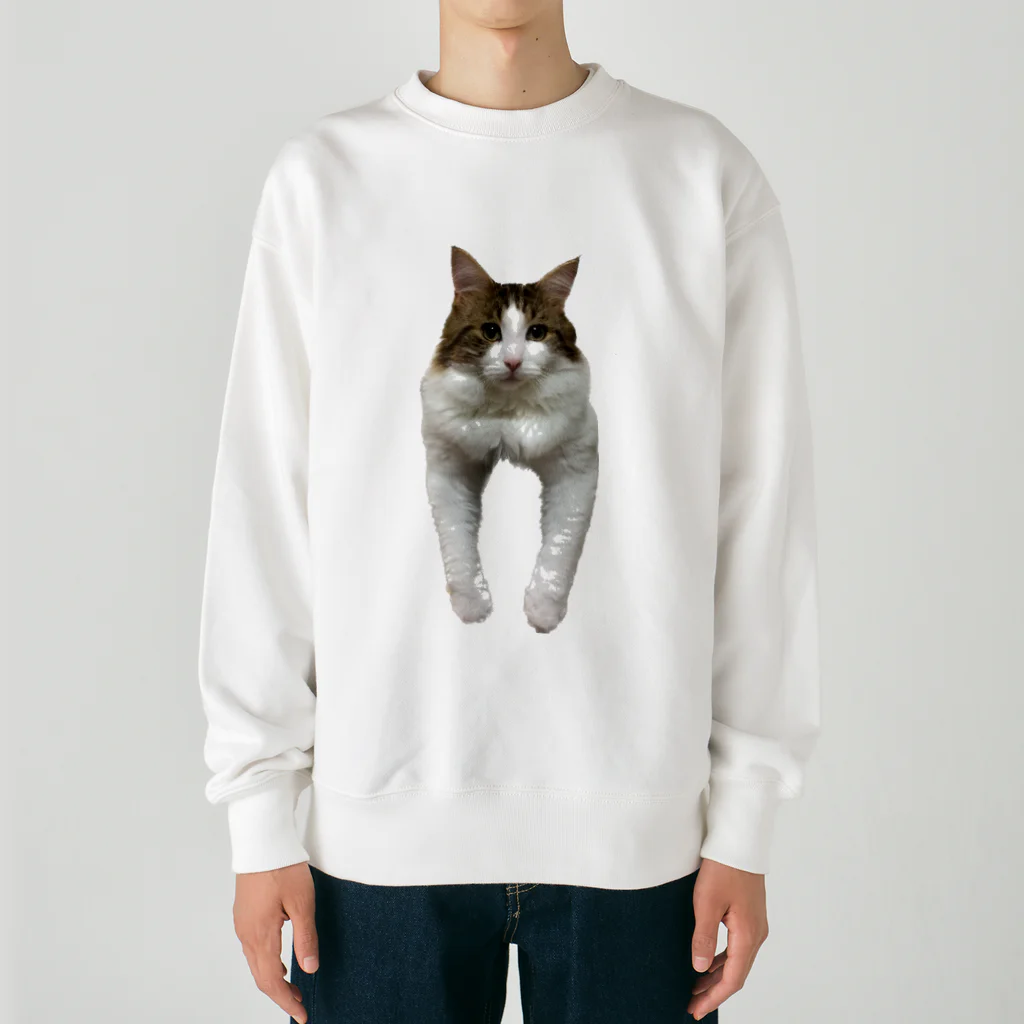 Diamondの猫のダイヤ Heavyweight Crew Neck Sweatshirt