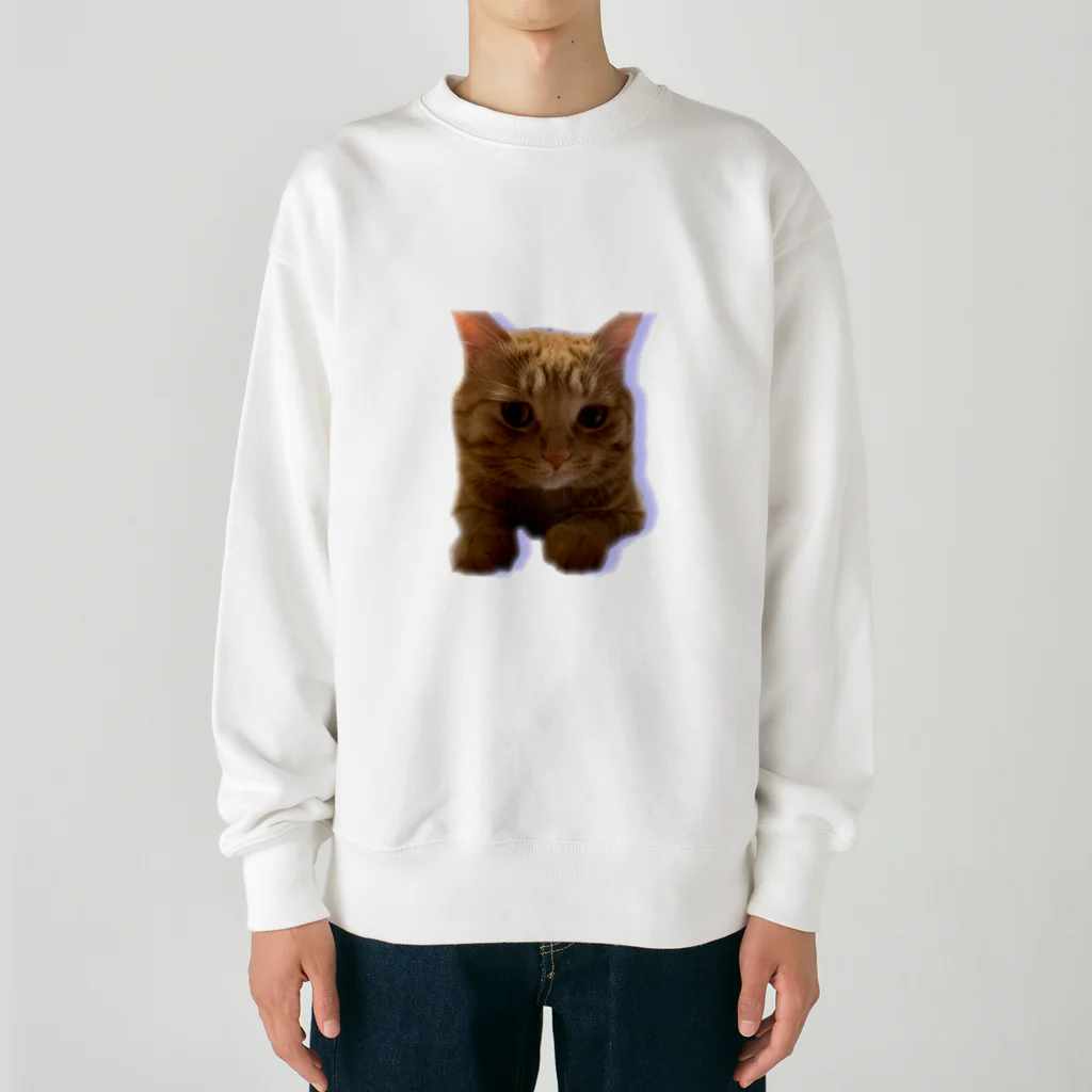 めんけ猫。の我が家の猫くんです。 Heavyweight Crew Neck Sweatshirt