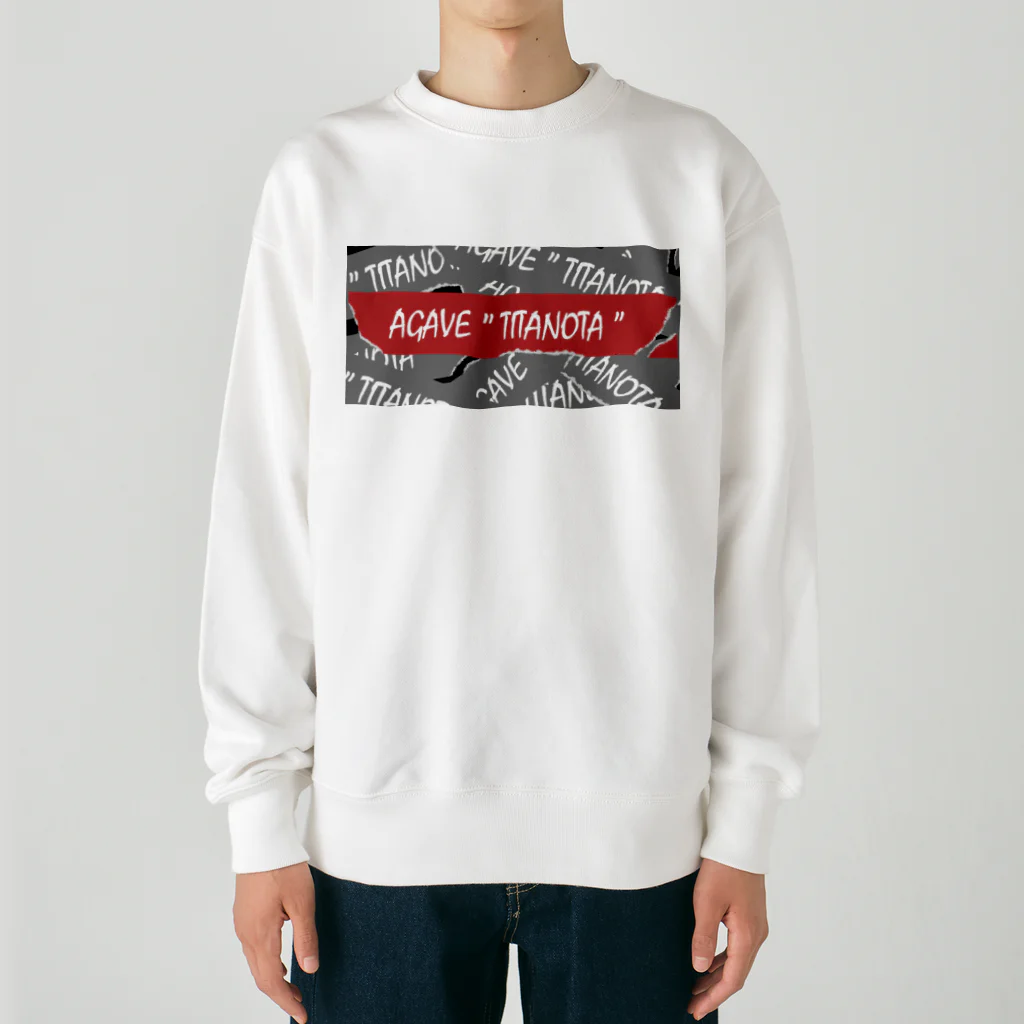 TREMOLOのAGAVE”TITANOTA”シグネチャーロゴ Heavyweight Crew Neck Sweatshirt