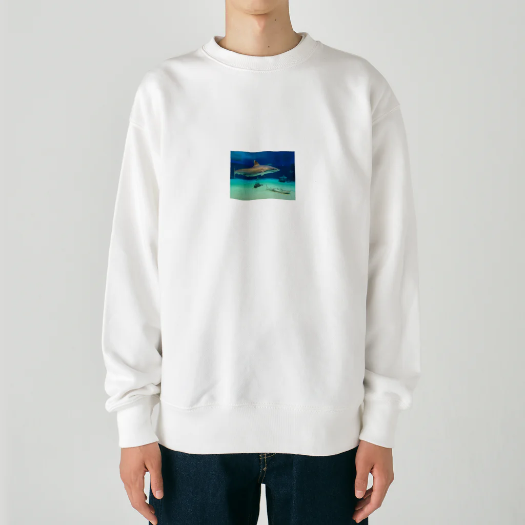 ふとまにショップのさめザメくんグッズ Heavyweight Crew Neck Sweatshirt