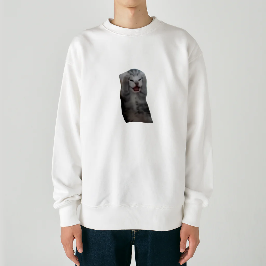 猫ミームグッズの絶望する子猫 Heavyweight Crew Neck Sweatshirt