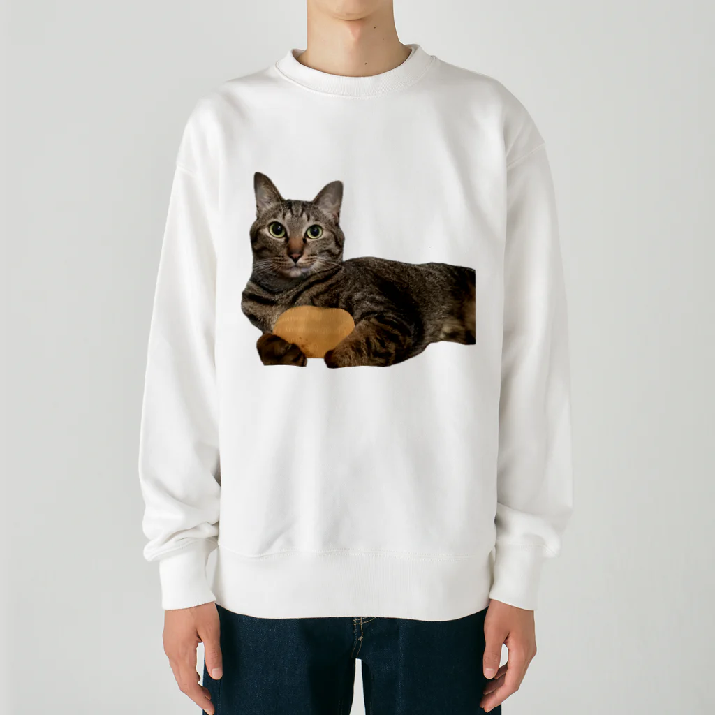 オレはニャン蔵の『猫に小判』オレはニャン蔵 Heavyweight Crew Neck Sweatshirt