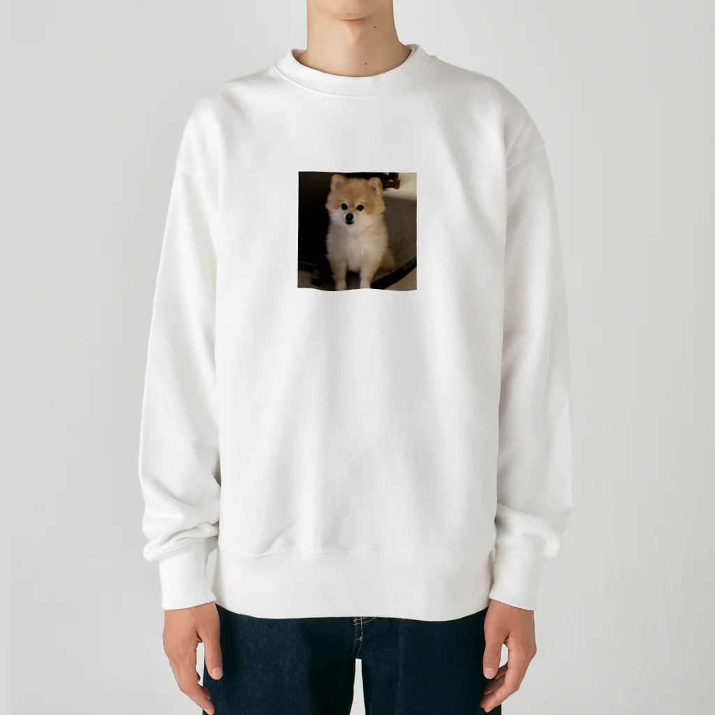 maru1515の愛犬プリン Heavyweight Crew Neck Sweatshirt