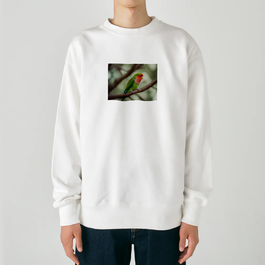 Kokoro-nagomu-Nagomiの鳥5　コザクラインコ Heavyweight Crew Neck Sweatshirt