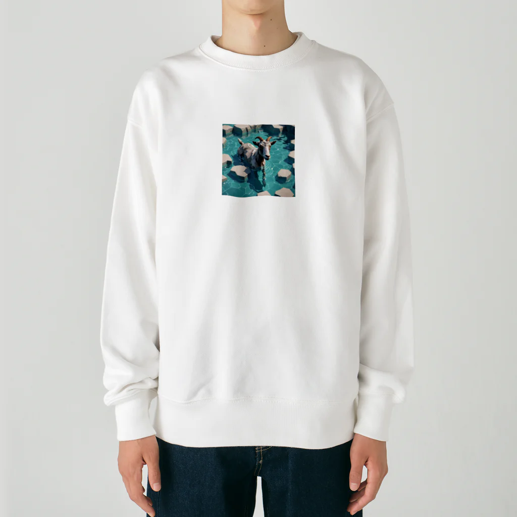 かてこの洋服販売所のWater goat 2 Heavyweight Crew Neck Sweatshirt