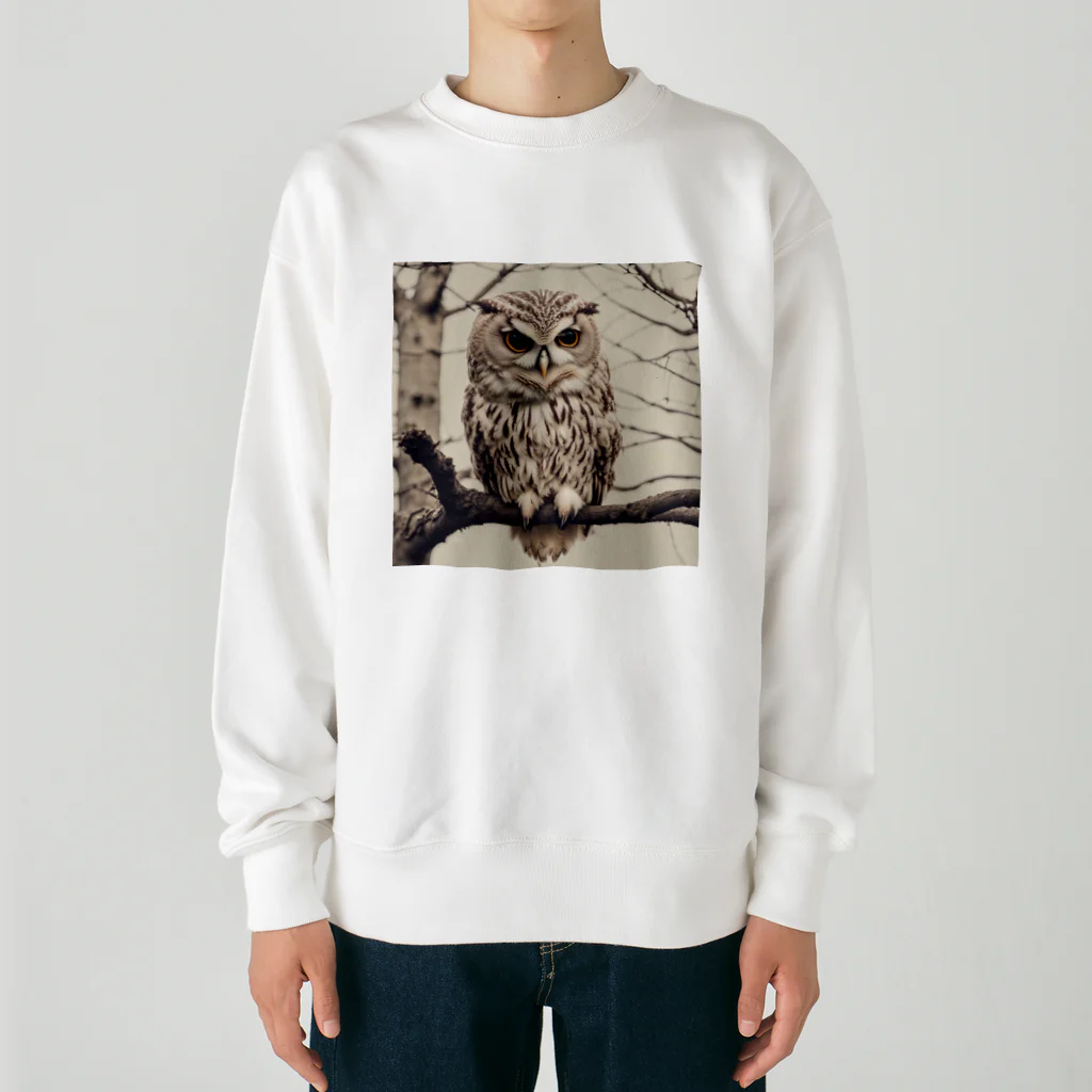 roogerのふくろうくん Heavyweight Crew Neck Sweatshirt