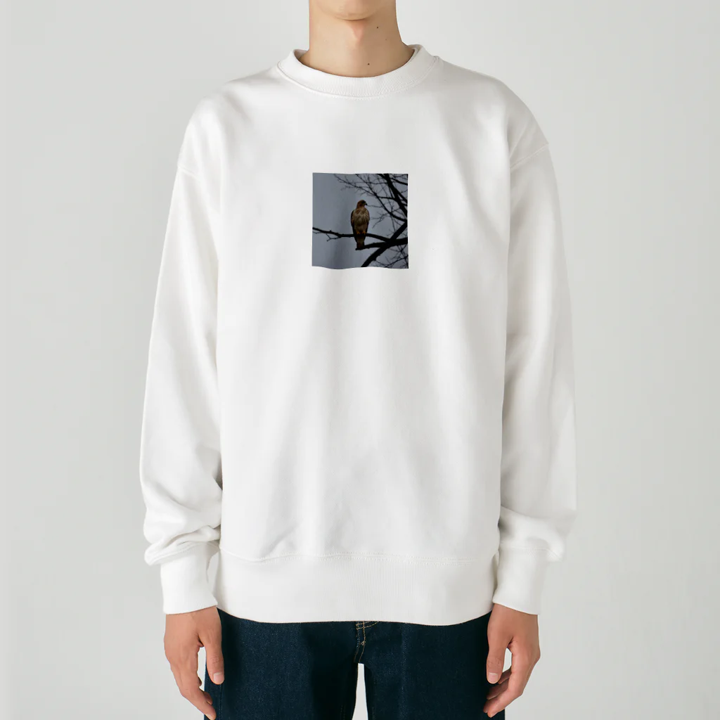 ganeshaの天候の変化に備えるタカ Heavyweight Crew Neck Sweatshirt