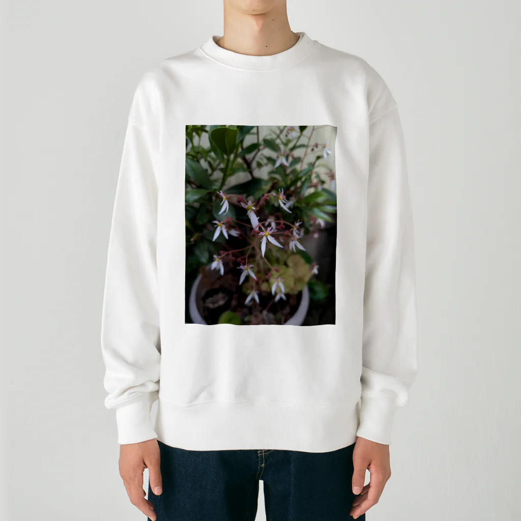 ミクロのユキノシタのお花が可愛らしい〜 Heavyweight Crew Neck Sweatshirt