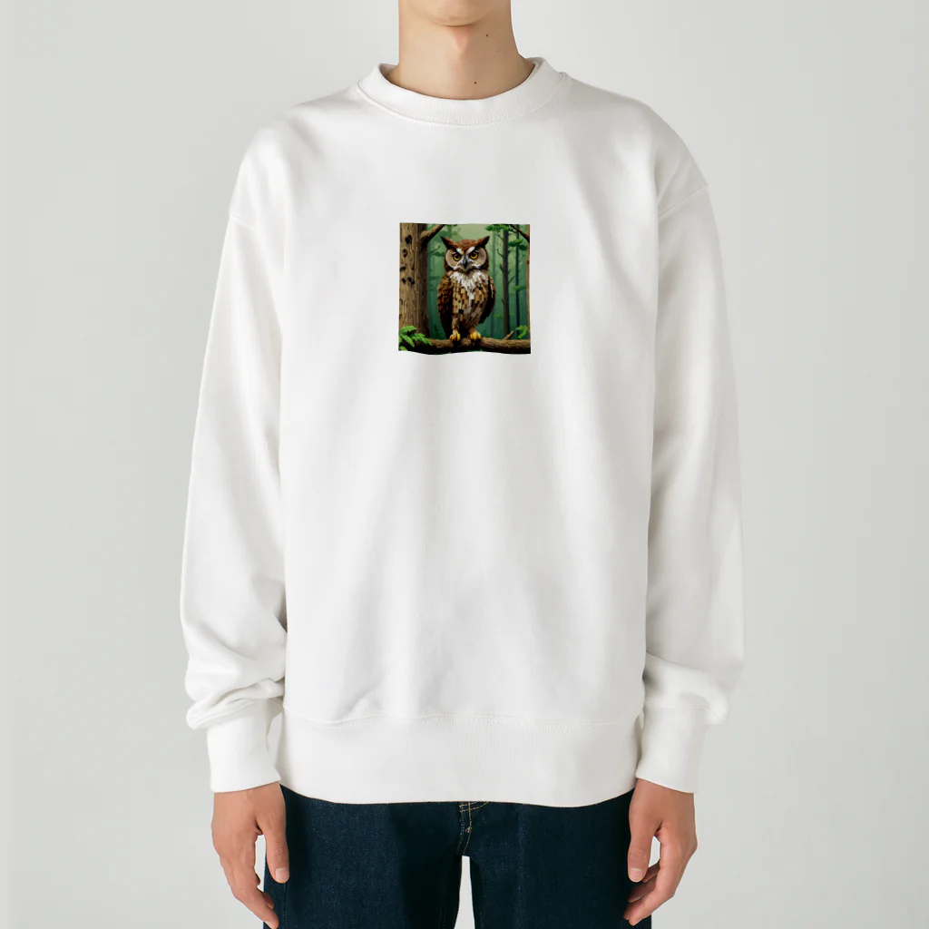 パグハグの魅力溢れる幸福のフクロウ Heavyweight Crew Neck Sweatshirt