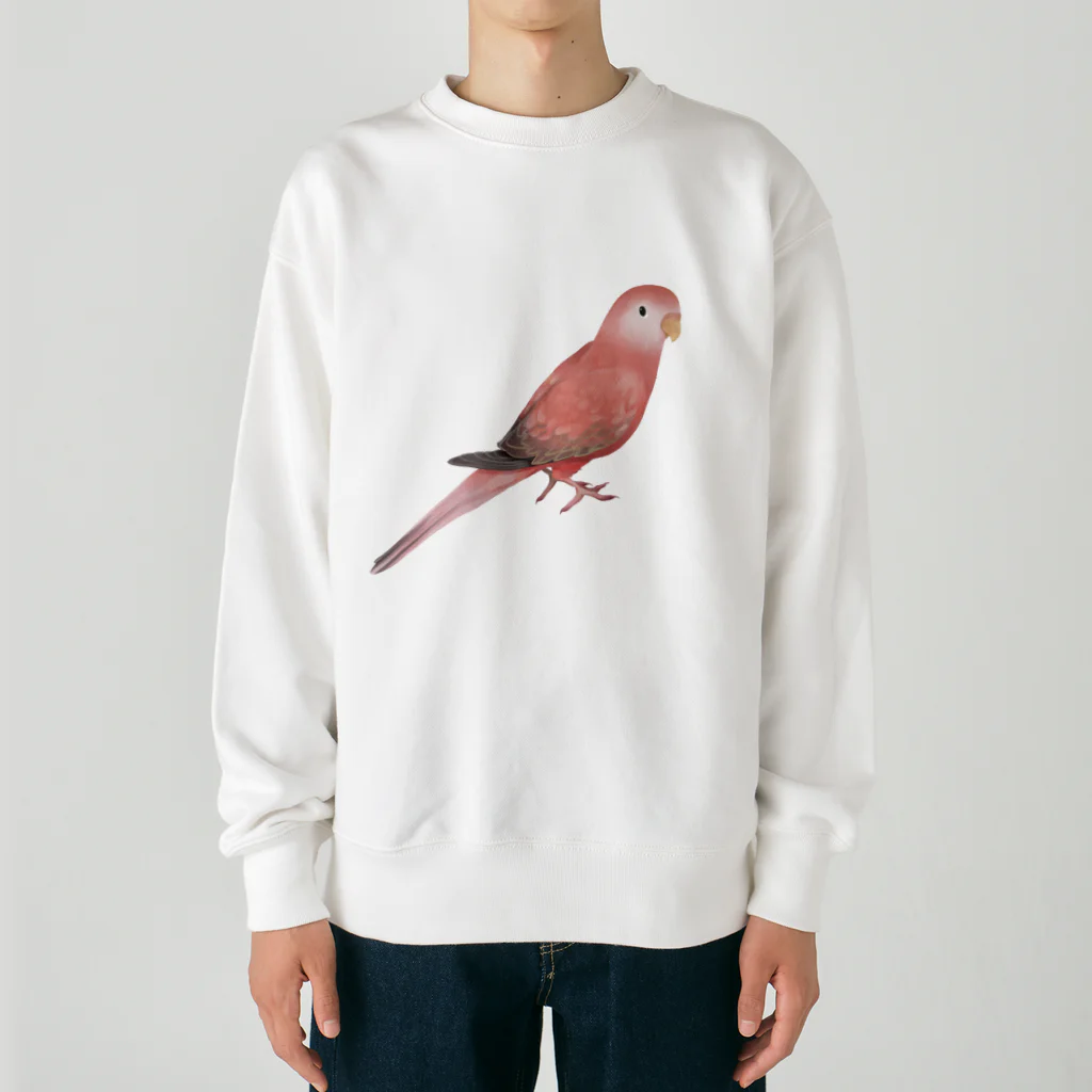 まめるりはことりのアキクサインコ　ピンク【まめるりはことり】 Heavyweight Crew Neck Sweatshirt