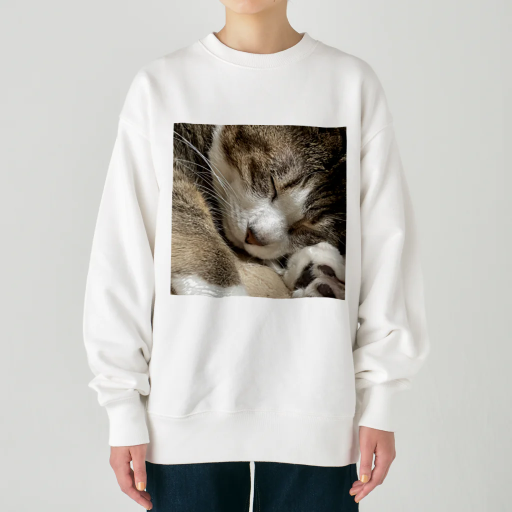 あゆのしおやきの猫(キジシロ) Heavyweight Crew Neck Sweatshirt