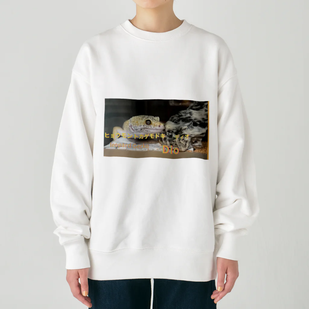 カメオタクの飼育箱のヒョウモントカゲモドキ＆ニシアフリカトカゲモドキ Heavyweight Crew Neck Sweatshirt