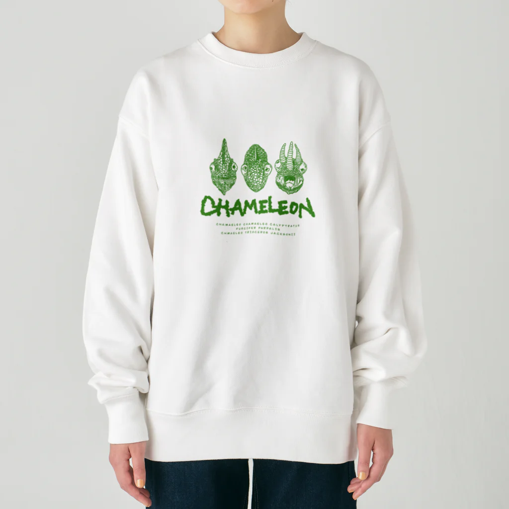 LEOLEOのthe chameleon Heavyweight Crew Neck Sweatshirt