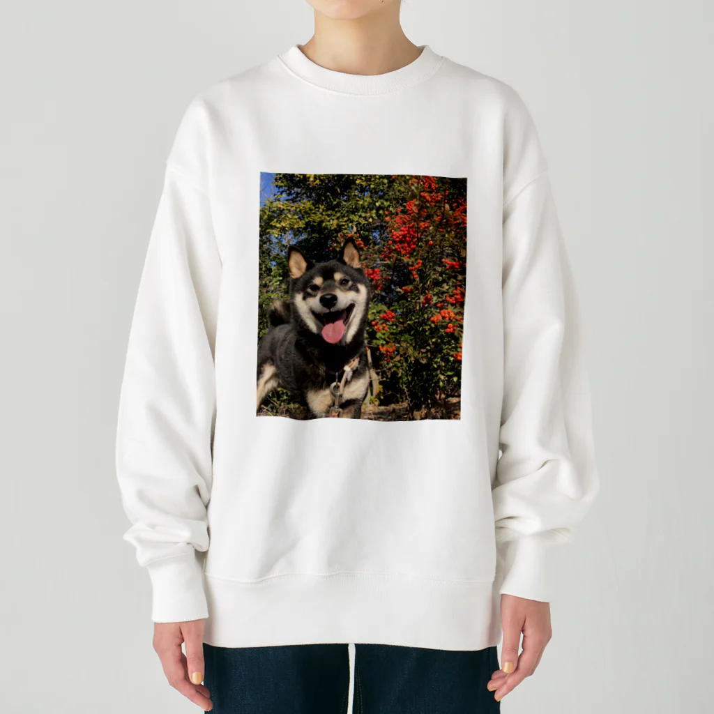 柴犬けんたろー。の柴犬のけんたろー Heavyweight Crew Neck Sweatshirt